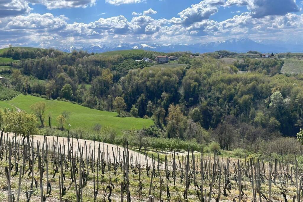 Spicchio Di Langa - Casa Indipendente Tra Le Vigne E Le Alpi Villa Belvedere Langhe Esterno foto